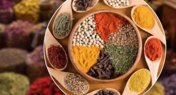 Spezie adulterate, sono un pericolo per la salute: i consigli per riconoscere quelle di qualità